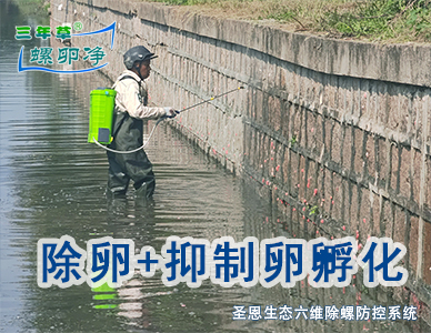 第三维：卵块清零，中断繁衍