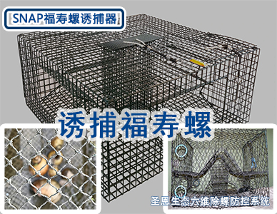 第四维：生态诱捕，无害清螺