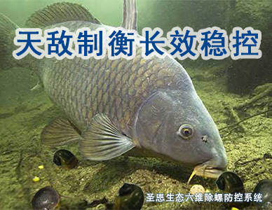 第六维：天敌制衡，长效稳控