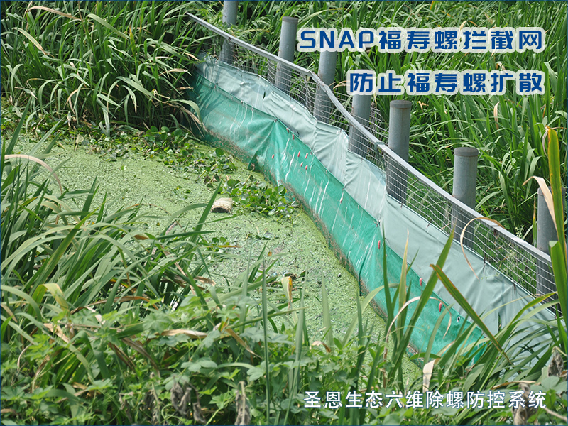 SNAP福寿螺拦截网-圣恩生态六维除螺防控系统