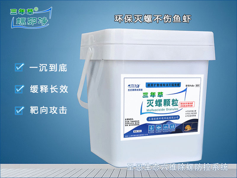 “红色警报”：福寿螺卵对树木与河道生态的双重威胁