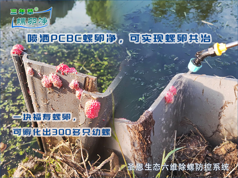 农村河道PVC护岸板，表面光滑却藏螺卵！这样治理更高效（附环保方案）