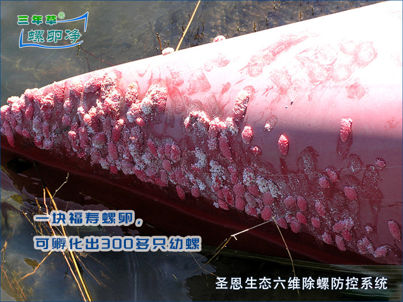 河道管涵排水沟渠&ldquo;隐形杀手&rdquo;