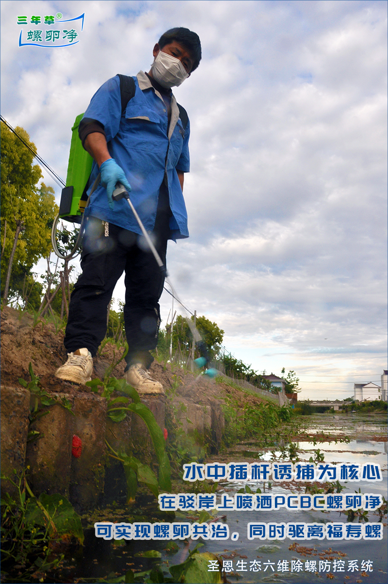 以竹竿诱捕为核心，搭配PCBC螺卵净喷洒驳岸2