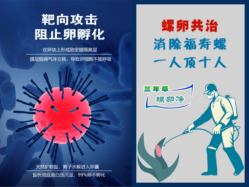 PCBC螺卵净