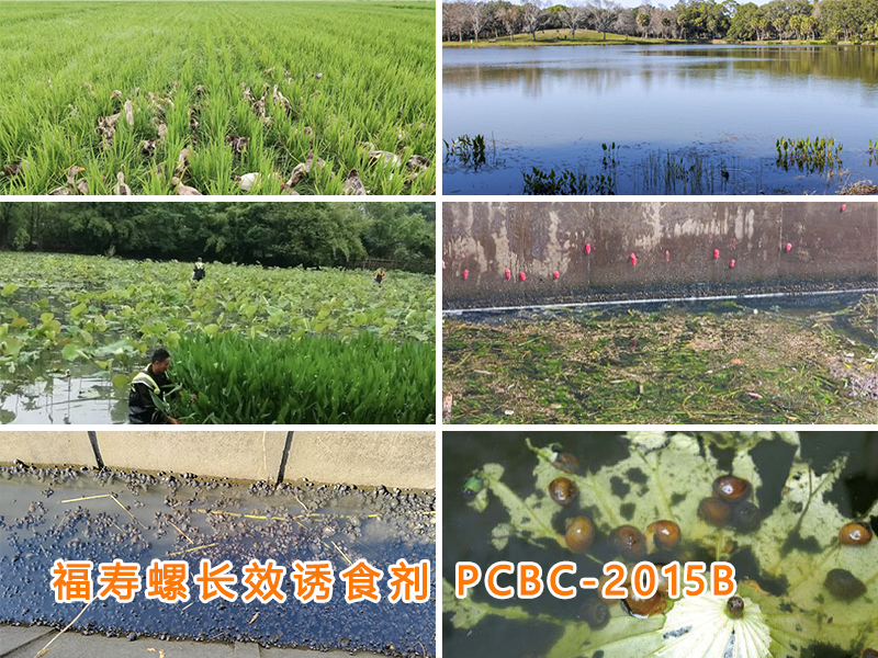 PCBC-2015B福寿螺长效诱食剂（诱捕剂）适用场所
