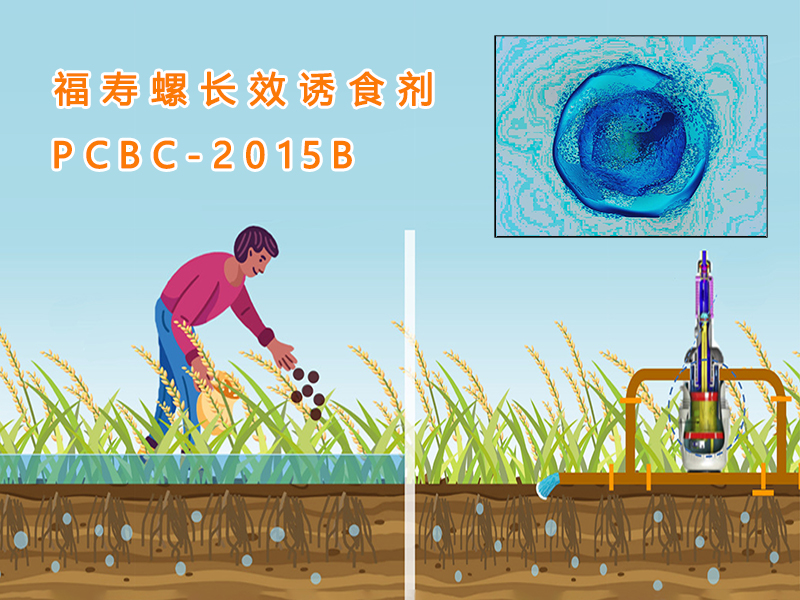 PCBC-2015B福寿螺长效诱食剂（诱捕剂）使用方法